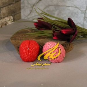 تصویر شمع مغز